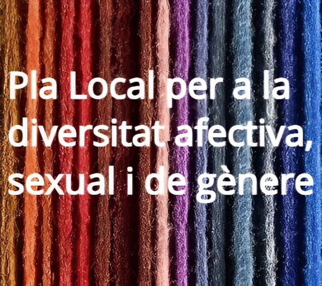 LAjuntament_de_Mollet_del_Valles_promou_la_participacio_ciutadana_en_el_Pla_Local_de_Diversitat_Afectiva_Sexual_i_de_Genere.jpg