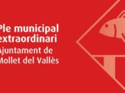 El Ple Municipal aprova una declaració institucional per promoure la sostenibilitat ambiental a la ciutat