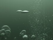 El Museu Abelló inaugura l’exposició fotogràfica Natusfera Improbabilitas