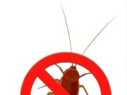 L’Ajuntament de Mollet intensifica les actuacions contra les plagues per afrontar l’arribada de la calor
