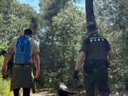 Els Agents Rurals sumen quatre nous binomis canins per reforçar l’operatiu contra la pesta porcina africana