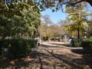 Mollet del Vallès planta prop de 500 arbres per fer front al canvi climàtic