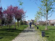 Mollet del Vallès aprova un nou pla per potenciar la infraestructura verda i la biodiversitat
