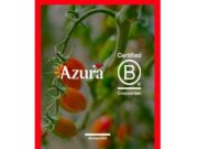 Azura consolida el seu model responsable amb el suport de B Corp
