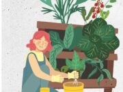 L’Ajuntament de Mollet del Vallès presenta la Festa Verda i de la Biodiversitat pel 7 de juny