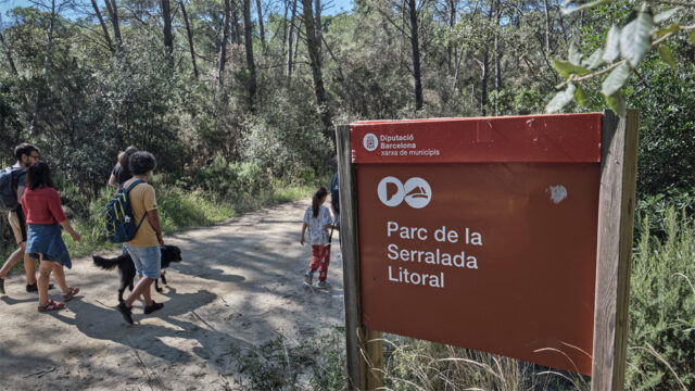 noticia_1782220547.jpg