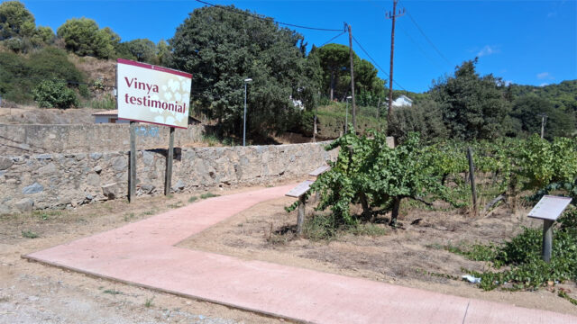 noticia_1789564603.jpg