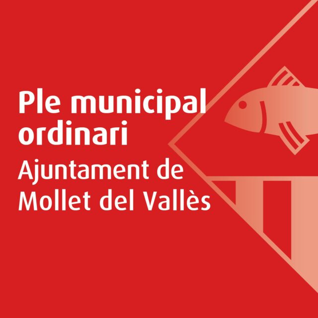 noticia_1790331136.jpg