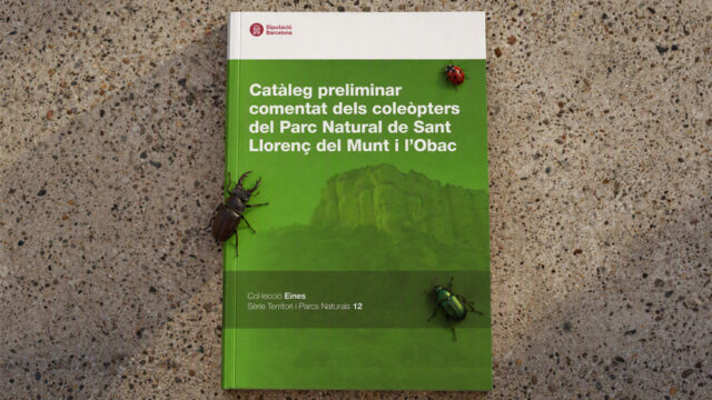 noticia_1793110525.jpg